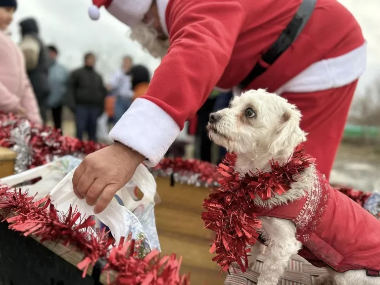 Mos Craciun si cainele. Mos Caiac la Sulina